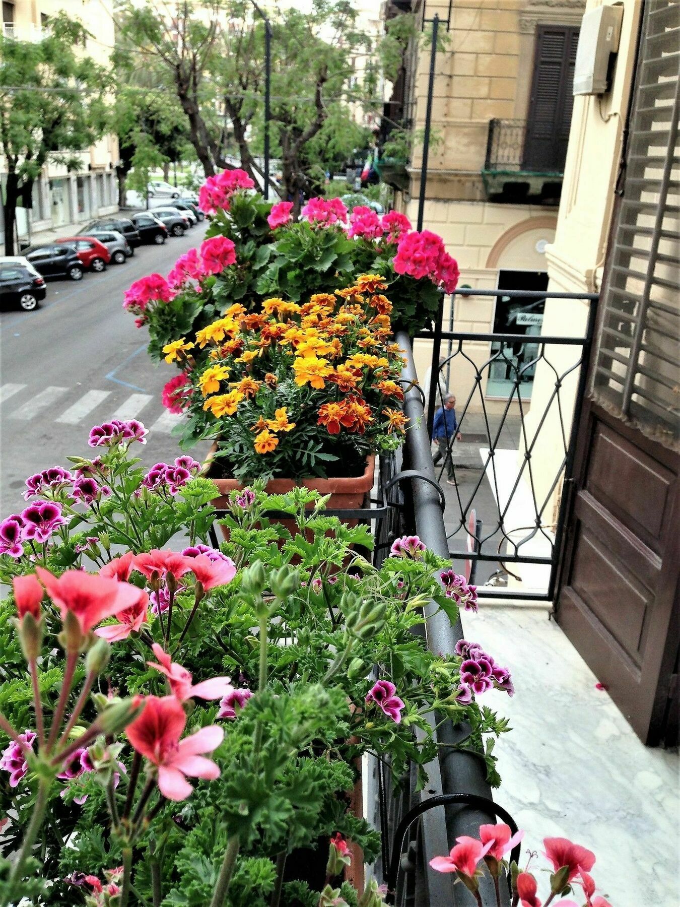A Casa Di Amelie Villa Palermo Eksteriør billede
